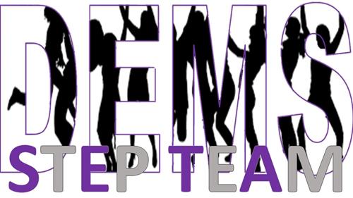 DEMS StepTeam 